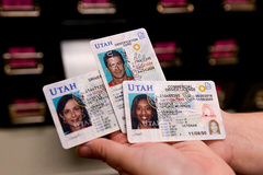 Utah Licensing image 3